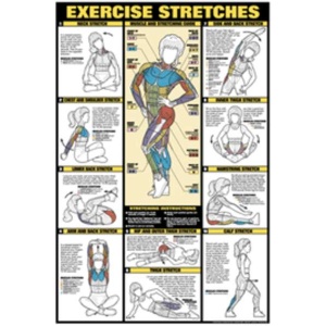 Exercise Stretches