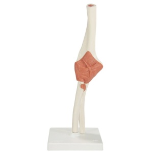 Elbow Joint – Deluxe