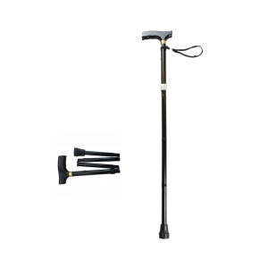 DAYS Folding Walking Stick- Black