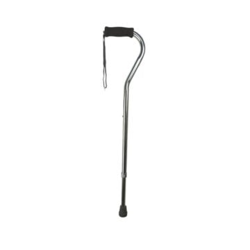 DAYS Swan Handle Walking Stick- Silver