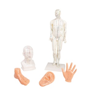 Chinese Acupuncture Set