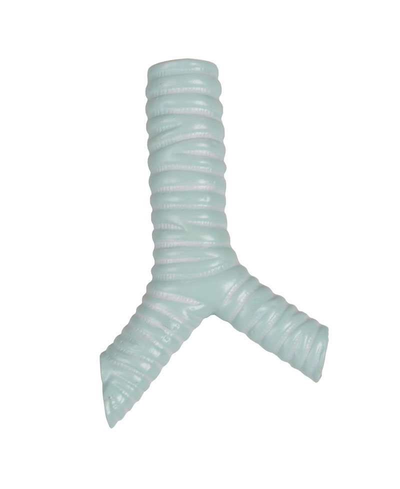 Torso with open back, 27-part, dual sex - 17