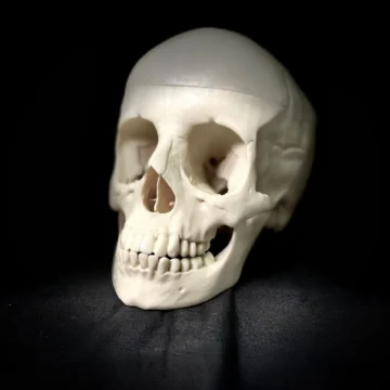 Craniotomies Simulator