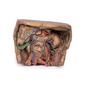 Abdomen vasculature