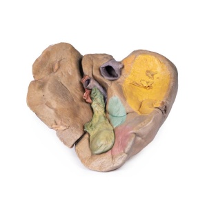 Healthy Anatomy Series