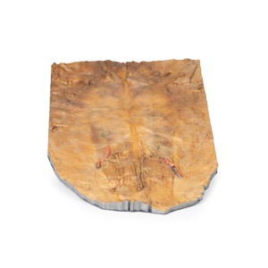 Internal abdominal wall