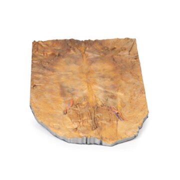 Internal abdominal wall
