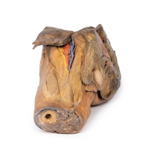 Male hemipelvis and thigh