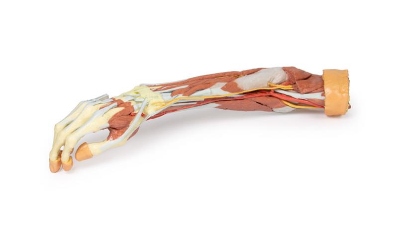 MP15131