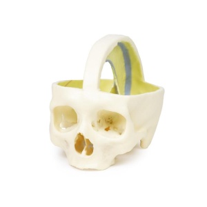 Dural Skull