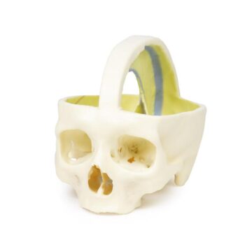 Dural Skull