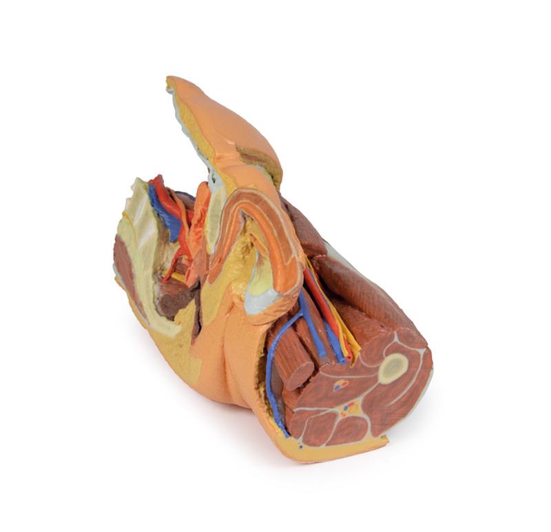 MP1765_1_8