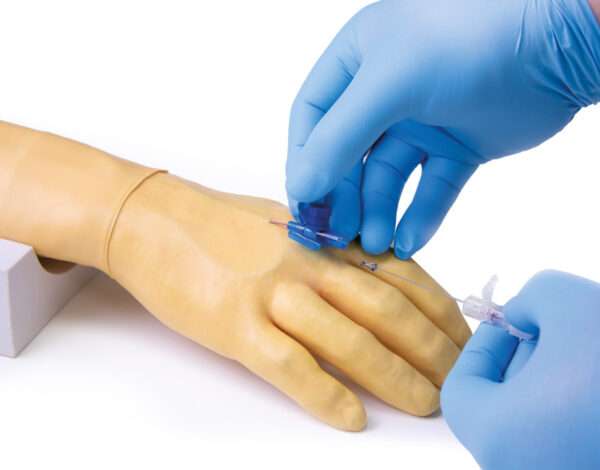 Training arm for intravenous injection and infusion - Australian ...