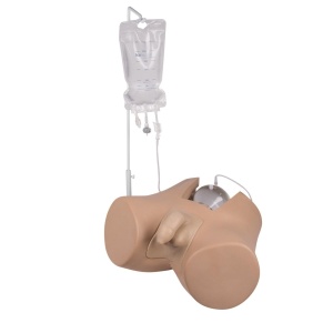 Bladder Catheterization Simulator “Henri”, male