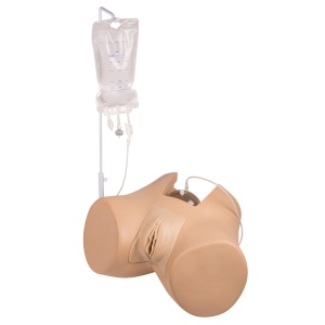 Bladder Catheterization Simulator “Florence”, female