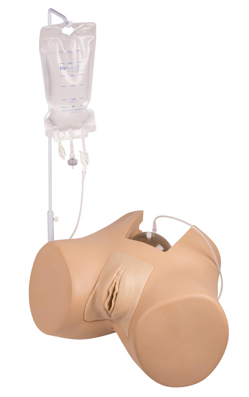 Bladder Catheterization Simulator "Florence", female