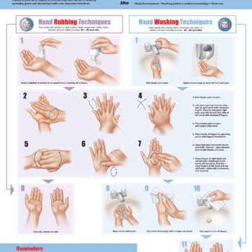 Hand Hygiene, None, First Edition Laminated chart only - Soft Laminate