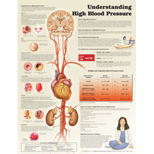 Understanding High Blood Pressure – Soft Laminate