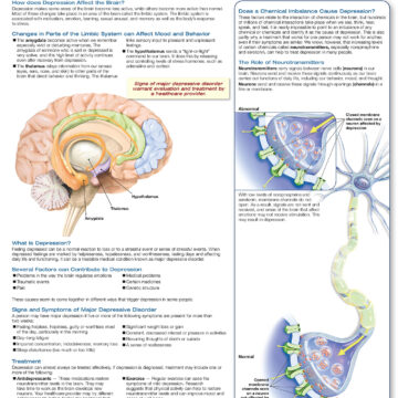 Understanding Major Depressive Disorder - Soft Laminate