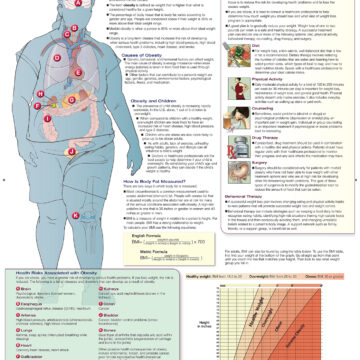 Risks of Obesity - Soft Laminate