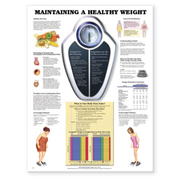 Maintaining A Healthy Weight - Soft Laminate