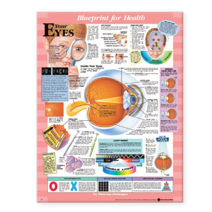 Blueprint for Health Your Eyes Chart – Soft Laminate