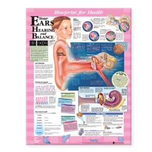 Blueprint for Health Your Ears Chart – Soft Laminate