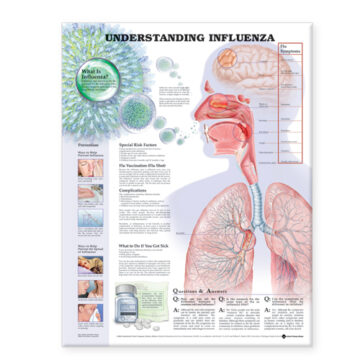 Understanding Influenza - Soft Laminate