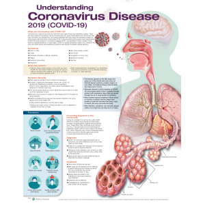 Understanding Coronavirus Disease 2019 (COVID-19), Revised Reprint – Soft Laminate