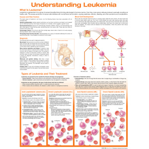 Understanding Leukemia Anatomical Chart – Soft Laminate