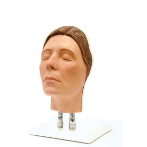 Head for Facial Injections