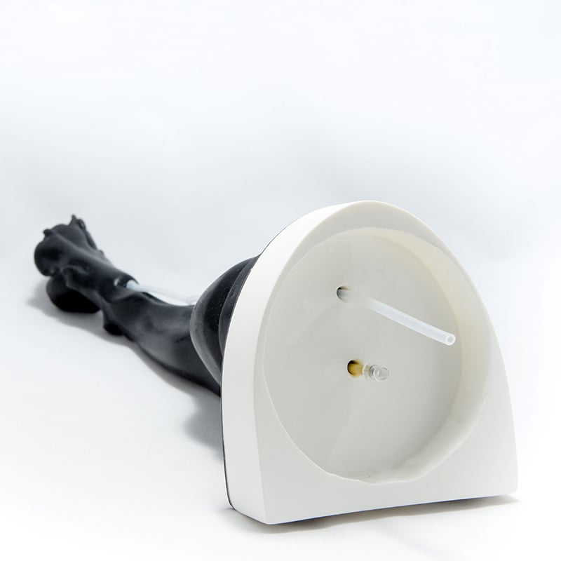 Canine Leg Vascular Access Simulator - 2