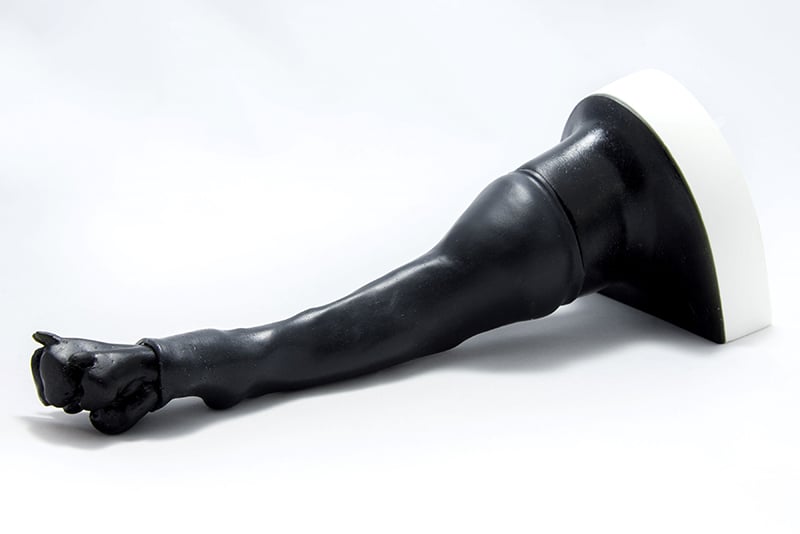 Canine Leg Vascular Access Simulator - 4