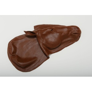 Replacement Equine Skin