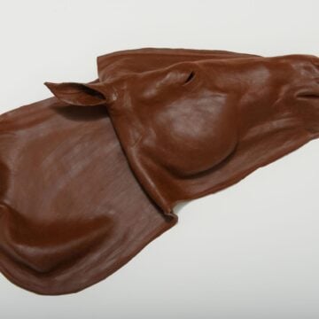 Replacement Equine Skin