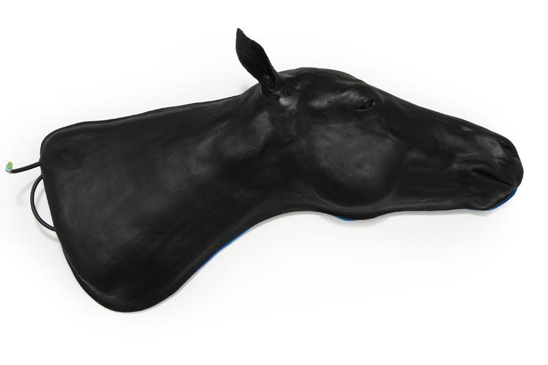 Equine Simulator 1.0