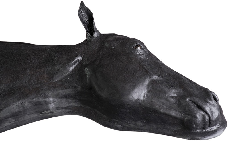 Equine Simulator 1.0 - 10