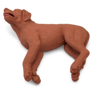 CPR Dog CasPeR