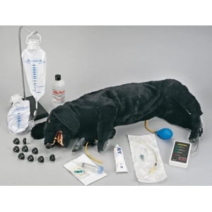 Advanced CPR Dog