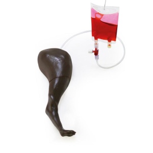 Canine Venipuncture & Injection Trainer