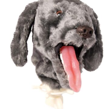 K-9 Intubation Trainer
