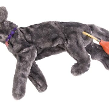 Fluffy Feline CPR Manikin