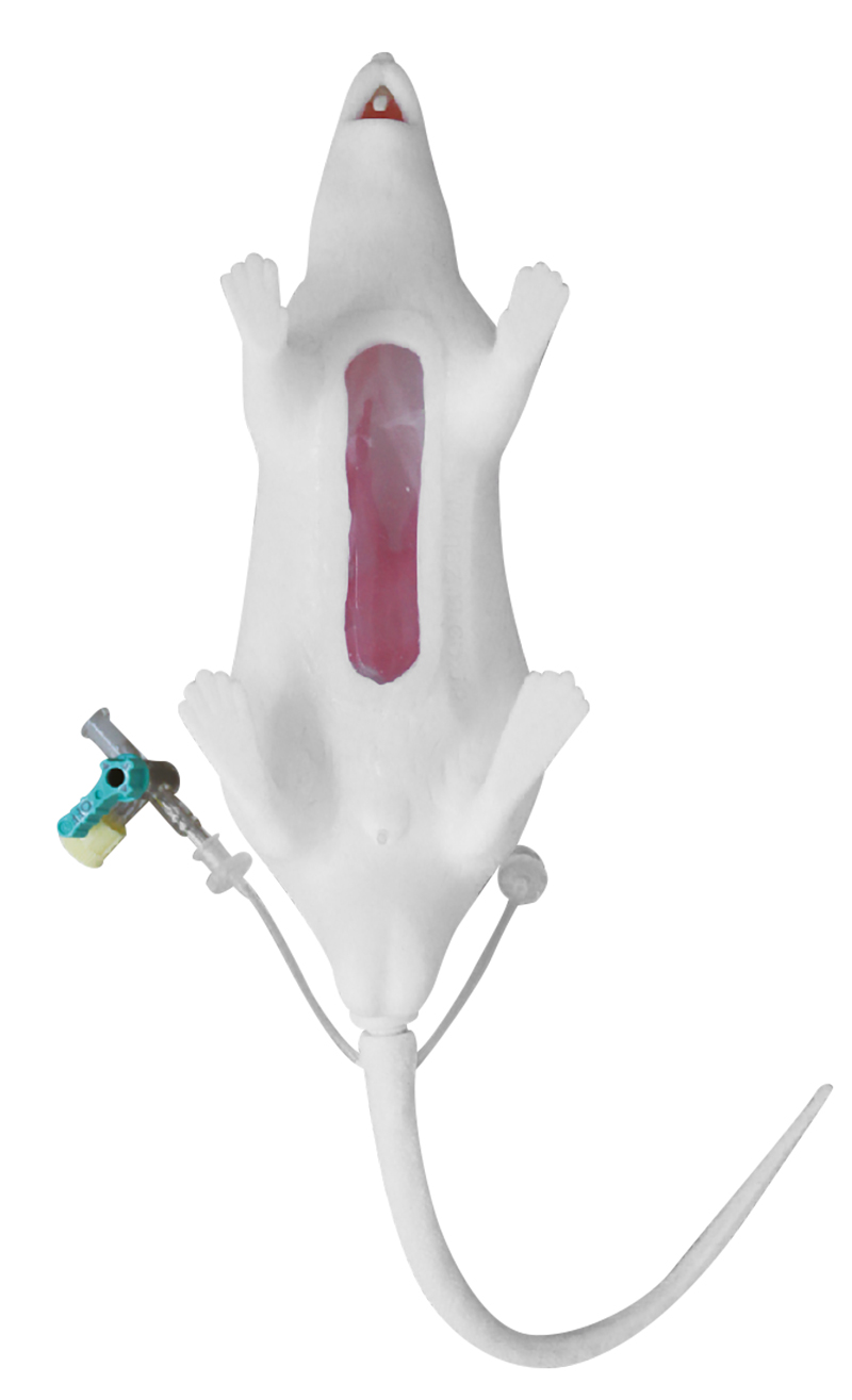 VET4230_1