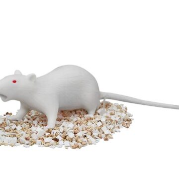 Natsume Rat