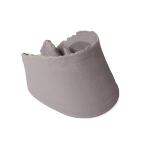 Hoof Capsule