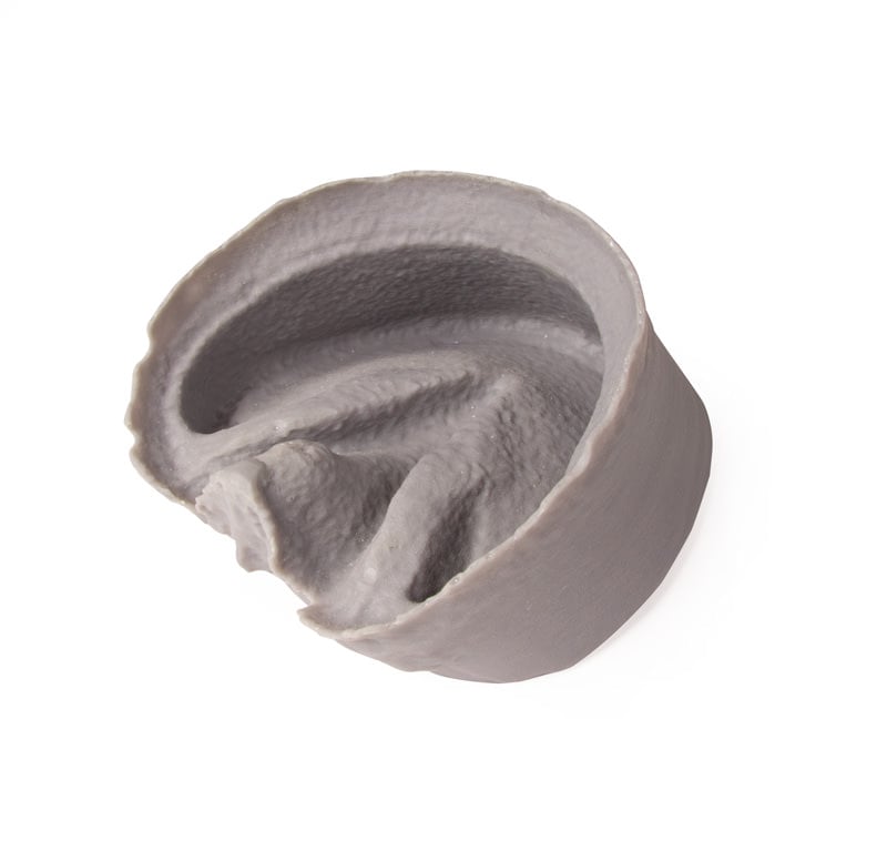Hoof Capsule - 2