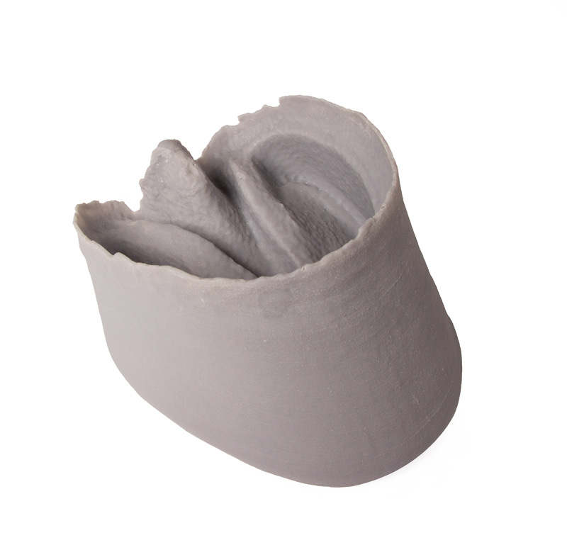 Hoof Capsule - 3