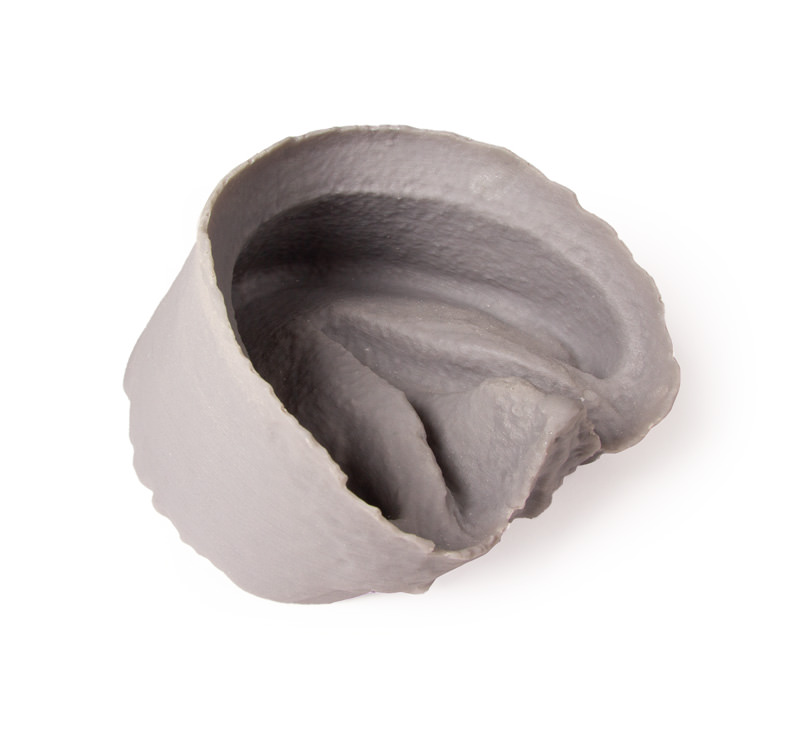 Hoof Capsule - 4