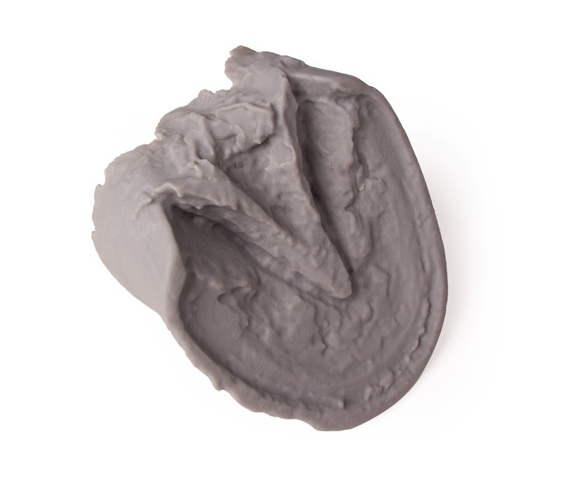 Hoof Capsule - 5