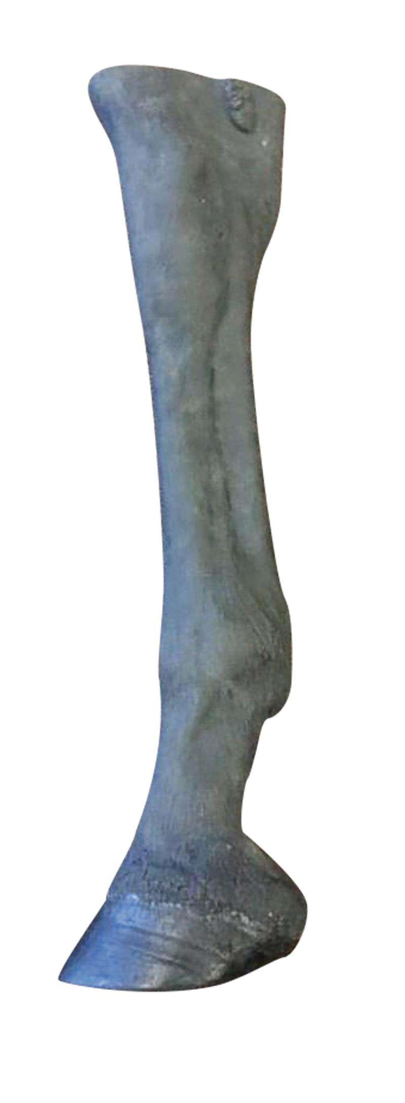 VET4550_11uB98N2JwbNiN